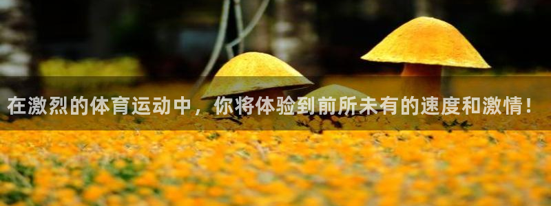 凯发官网下载联系电话:在激烈的体育运动中,你将体验到前所未有