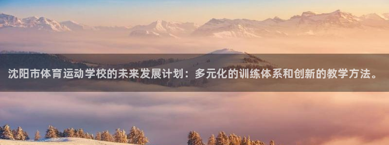 凯发官网下载平台:沈阳市体育运动学校的未来发展计划:多元化的