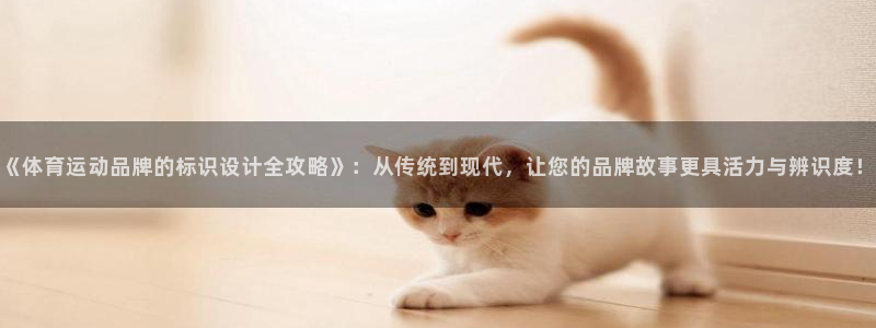 凯发官网下载软件:《体育运动品牌的标识设计全攻略》:从传统到